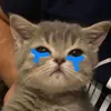 tuannanhhdzais1tg
