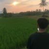 pixry0