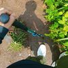 __jmhana20