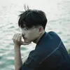 vdcanh_