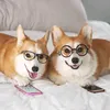 corgilittledog718