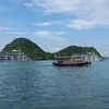 nhitungvy