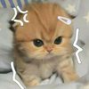 viky_mu_