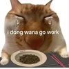 xiaomeow001