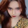 dianbuleq_