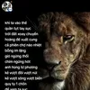 say_khiko_co.em78