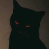 sleepdeprivedangel12