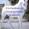 luvitriagorto