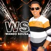 wandosousa29