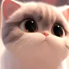 meomatmocloli