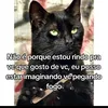 andrebrito239