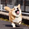 heroshiiii1