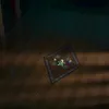 apelgosong_