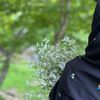 roody_001