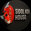 sidolkoihouse12
