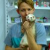 sochi_ferrets