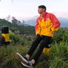 adot_catur