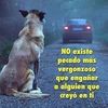gabrielcalderon6698