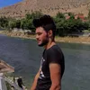 ali1a81