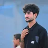 hus_o11