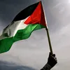noura.boukh
