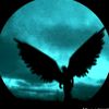 flov_08