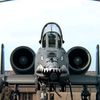 specialforceopperator