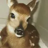 roufyyx