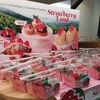 lalandberry