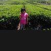 suryani64466