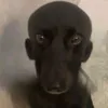 t_terminator
