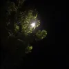 dottoan_2105
