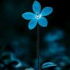 kishorsaha_83