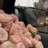 mj_044426y