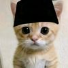kulo_husen