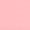 🩰✨🦢🎀