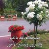 fatmah6542