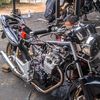 tigerblacklist