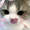 lovely_elennn