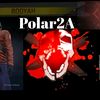 polar2a