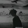 lek_boyy1