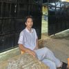 romihalzain