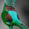 user8846048308105