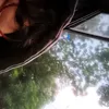 erielvsr