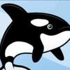 whalesuit
