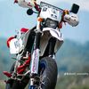 binuk81