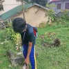 jiflerty