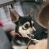 ear77544