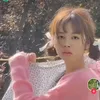 rosedelmundo6