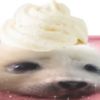 sleepystzrsx